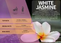 Scentaura 90 day 50ml Refill – White Jasmine (Pk of 6)
