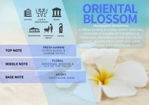 Scentaura 90 day 50ml Refill – Oriental Blossom (Pk of 6)